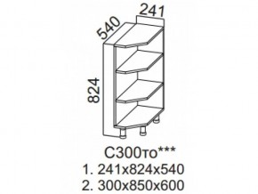 С300то Стол-рабочий 300 (торцевой открытый) в Красноуфимске - krasnoufimsk.magazin-mebel74.ru | фото