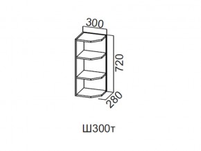 Ш300т/720 Шкаф навесной 300/720 (торцевой) в Красноуфимске - krasnoufimsk.magazin-mebel74.ru | фото