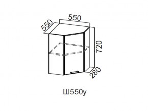 Ш550у/720 Шкаф навесной 550/720 (угловой) в Красноуфимске - krasnoufimsk.magazin-mebel74.ru | фото