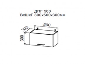 Шкаф верхний ДПГ500 горизонтальный в Красноуфимске - krasnoufimsk.magazin-mebel74.ru | фото