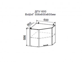 Шкаф верхний ДПУ600 угловой в Красноуфимске - krasnoufimsk.magazin-mebel74.ru | фото